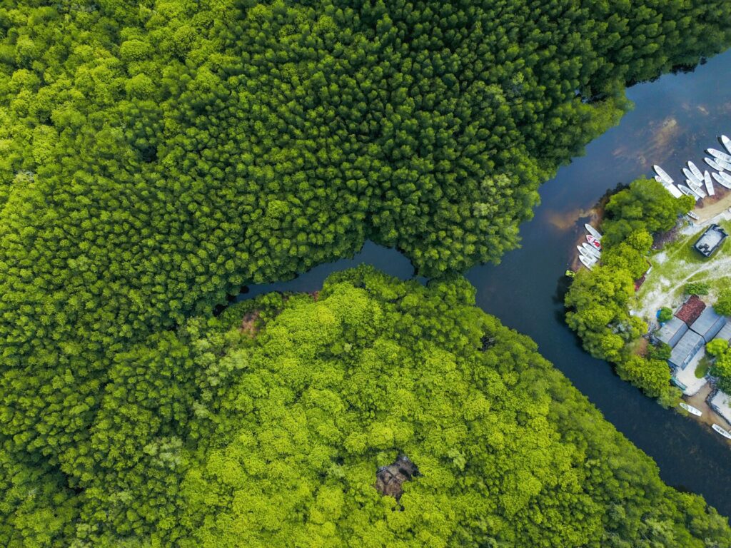 Entrega neutra: como o iFood antecipou a compensação de CO2
