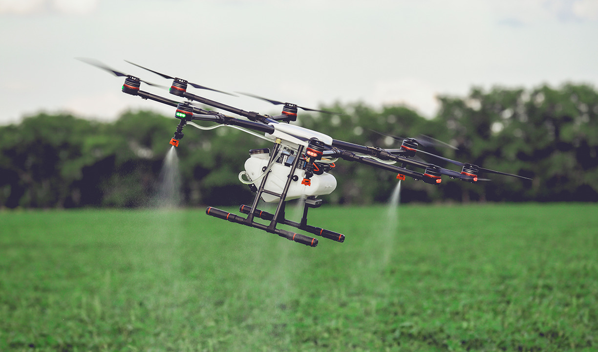 Empresas usam drones para acelerar o reflorestamento